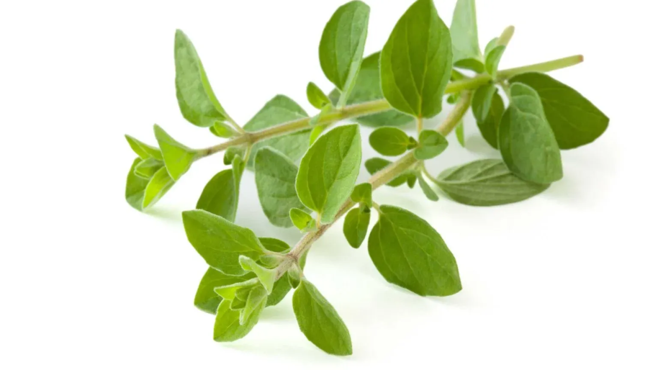Zinc