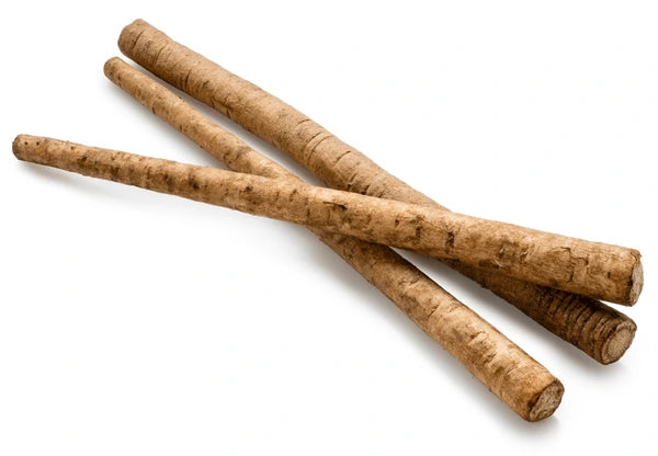 Burdock Root
